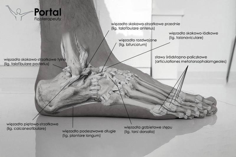 Anatomia stopy na rowerze: skąd ból i drętwienie oraz jak im zapobiegać
