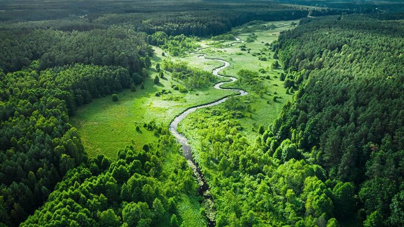 Szlaki piesze i rowerowe